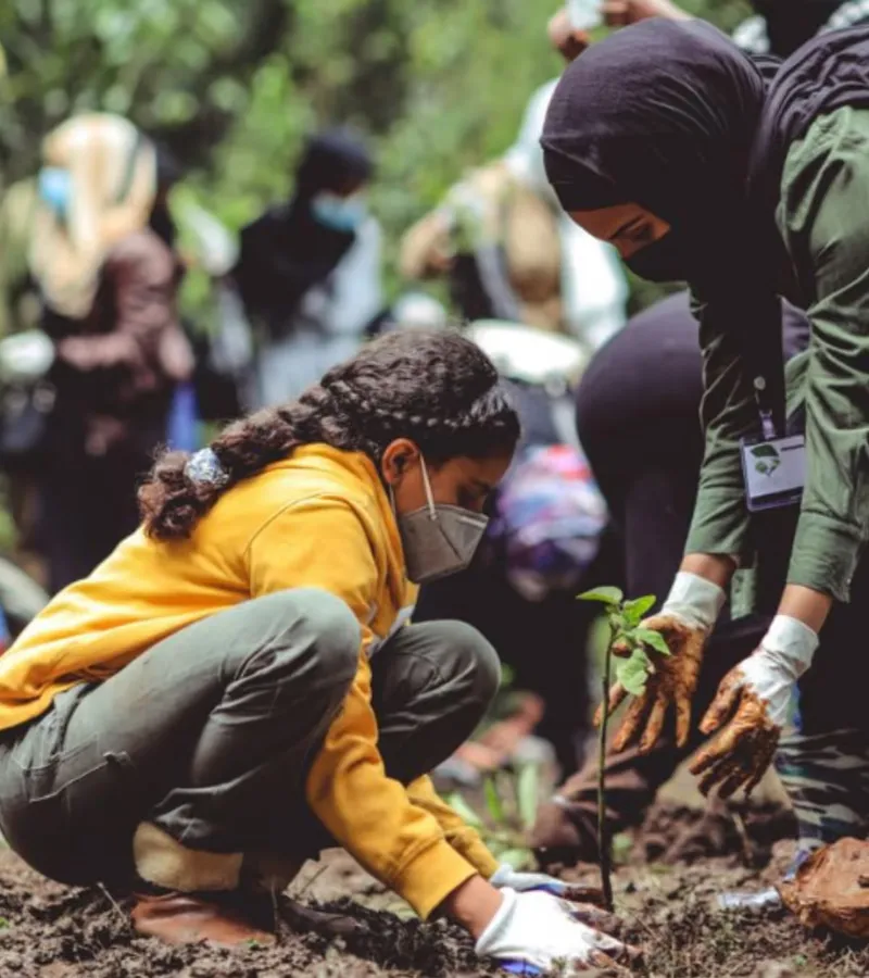 Volunteers planting tree saplings